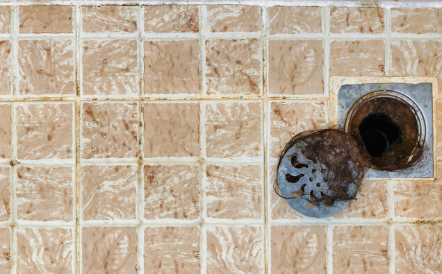 https://blockeddrainsinglewood.com.au/uploads/2025/07/blocked-shower-drains-91576.jpg